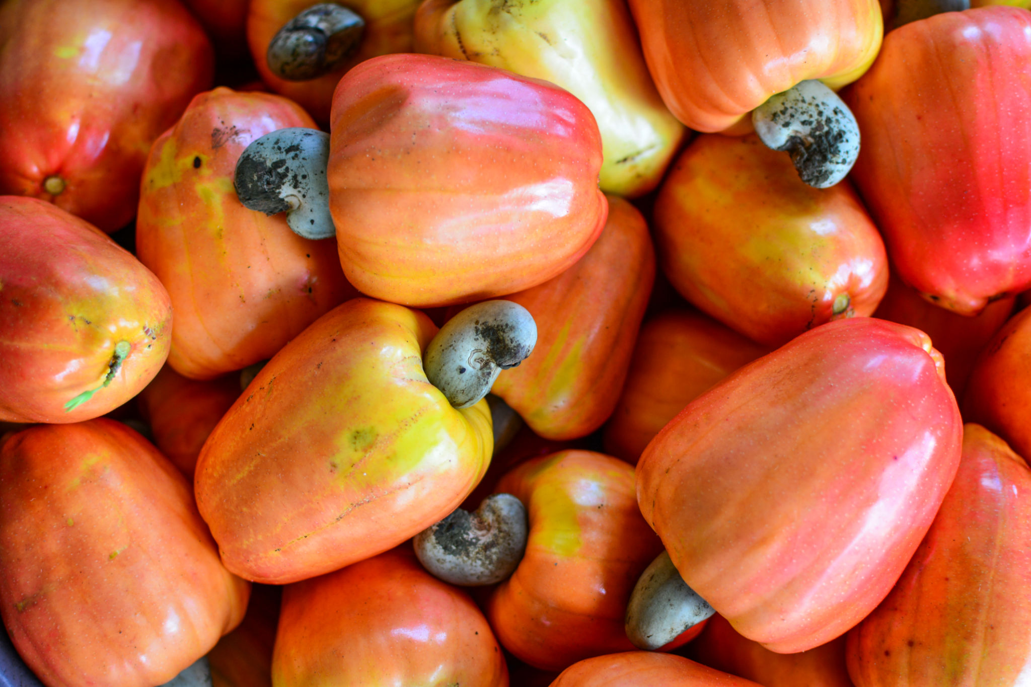 exotic brazilian fruit