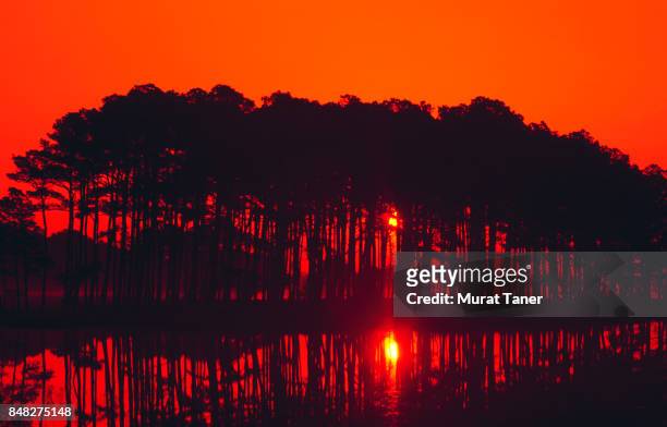 sunset at chincoteague national wildlife reserve - chincoteague island stock pictures, royalty-free photos & images