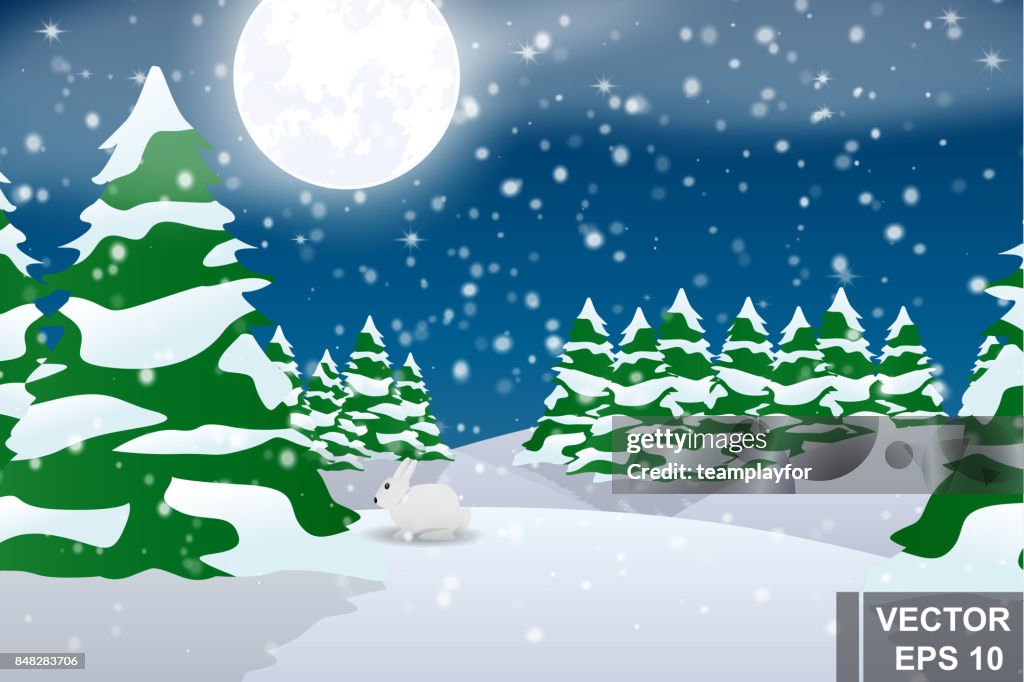Bosque De Invierno Paisaje Nocturno Dibujos Animados Árboles Cubiertos De  Nieve Navidad Y Año Nuevo Ilustración de stock - Getty Images