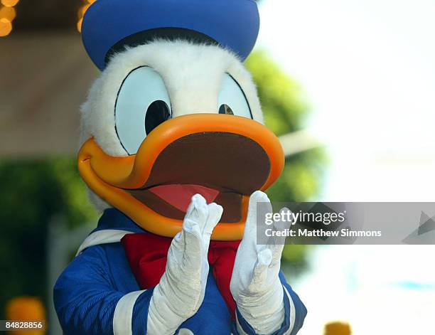 Donald Duck