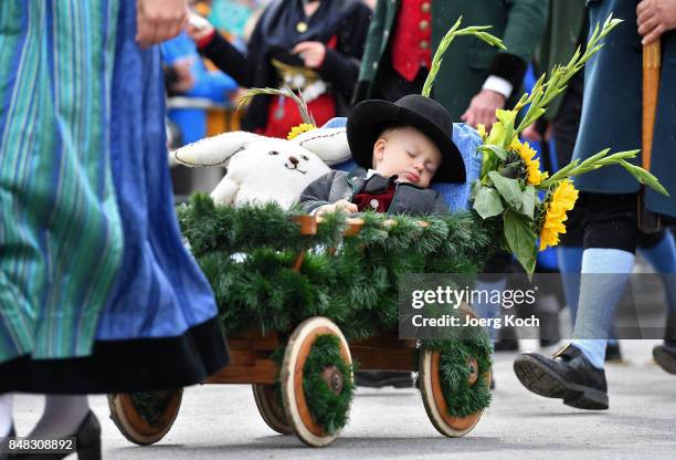 Performers in traditional Bavarian costumes march over Munich's famous Ludwigstrasse during the traditional Costume and Riflemen's Procession at day...