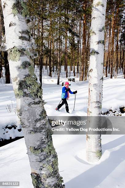 boomer snowshoeing in the woods - manchester vermont stock-fotos und bilder