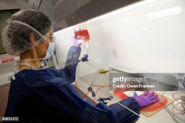 stem cell technician - stamcel stockfoto's en -beelden