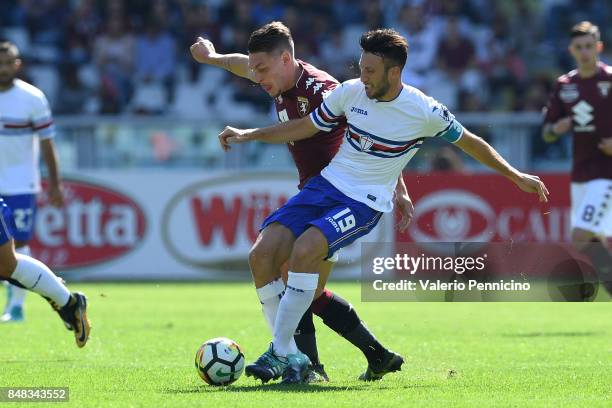 Andrea Belotti of Torino FC competes with Vasco Regini of UC Sampdoria during the Serie A match between Torino FC and UC Sampdoria at Stadio Olimpico...