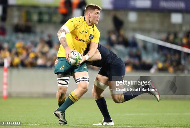 Sean McMahon of the Wallabies is tackled during The Rugby Championship match between the Australian Wallabies and the Argentina Pumas at Canberra...