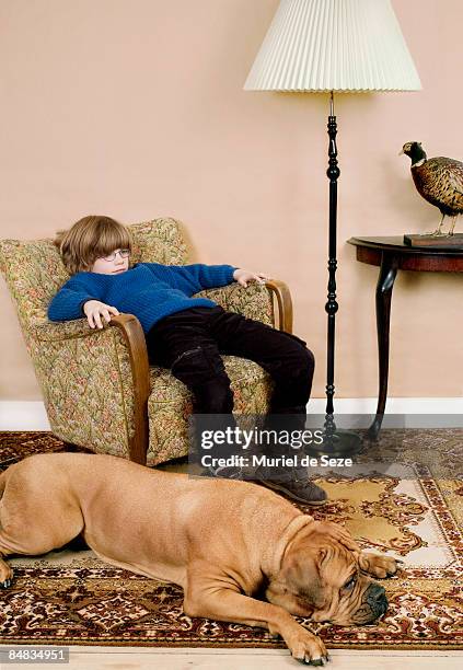 boy watching tv with dog - french mastiff stock pictures, royalty-free photos & images