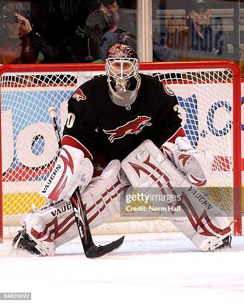 Goaltender Ilya Bryzgalov of the Phoenix Coyotes gets ready to make a save against the Calgary Flames on February 14, 2009 at Jobing.com Arena in...