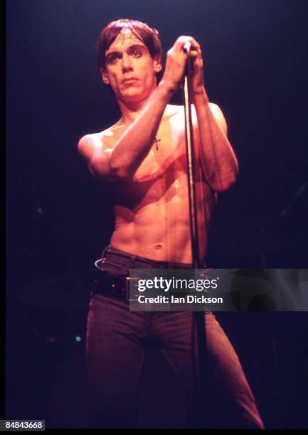 Photo of Iggy POP, performing live onstage on 'The Idiot' tour