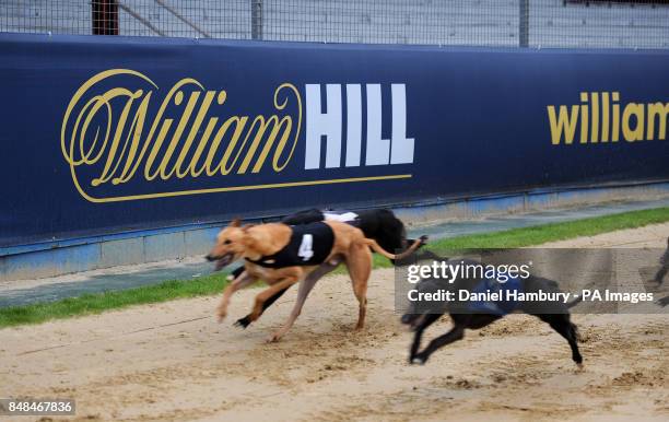 Stainforth Dog Racing 1,908 Derby Greyhound Stadium Stock Photos, High-Res Pictures, and ...