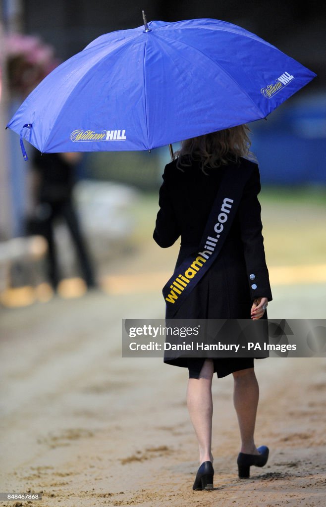 Greyhound Racing - 2012 William Hill.com Puppy Derby Final - Wimbledon Greyhound Stadium