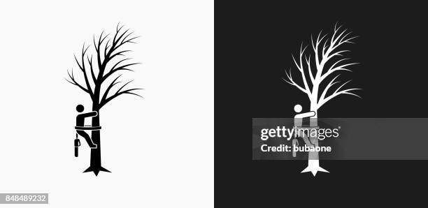 tree cutting icon on black and white vector backgrounds - cutting-trees-clip-art stock illustrations