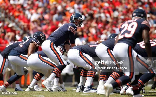 Quarterback Mike Glennon of the Chicago Bears controls the offense during the first quarter of an NFL football game against the Tampa Bay Buccaneers...