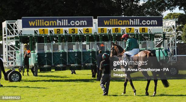 53 Wilfrid North Stock Photos, HighRes Pictures, and Images Getty Images