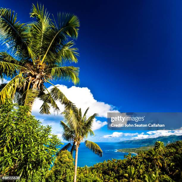 lush countryside on anjouan island - anjouan island stock pictures, royalty-free photos & images