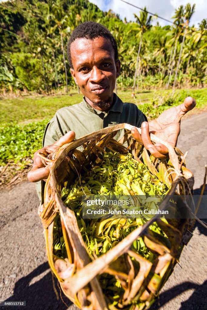 Ylang-Ylang on Anjouan Island