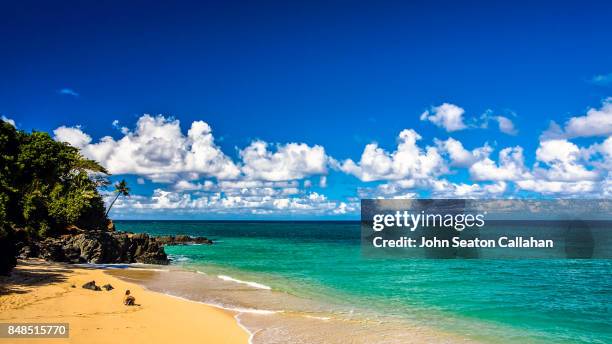 moya beach, on anjouan island - anjouan island stock pictures, royalty-free photos & images