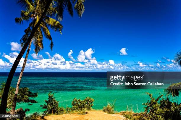 moya beach, on anjouan island - mutsamudu stock-fotos und bilder
