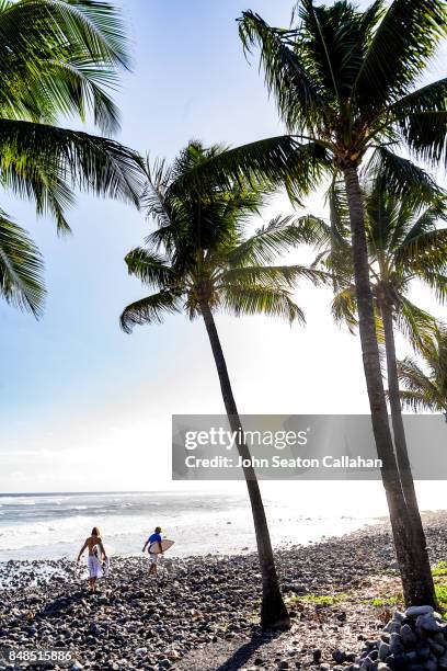 coconut grove on anjouan island - mutsamudu stock-fotos und bilder