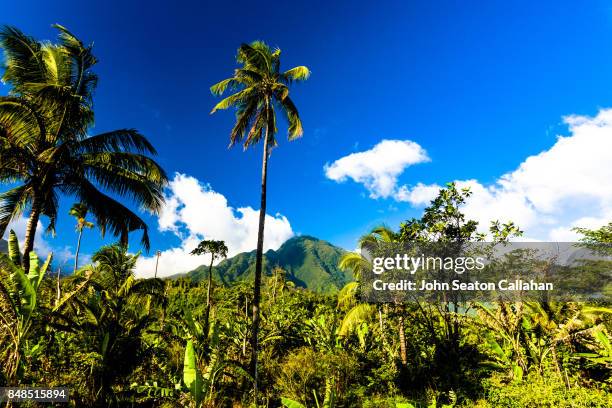 lush countryside on anjouan island - mutsamudu stock-fotos und bilder