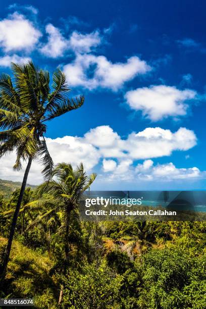 lush countryside on anjouan island - mutsamudu stock-fotos und bilder