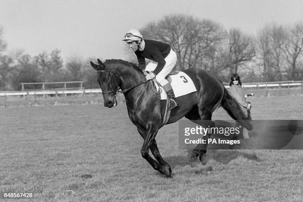 Amateur jockey Lord Oaksey up on 'Cloudsmere' which is owned by W.H. Whitbread and trained by Rodney Armytage at East Ilsley, Newbury, Berkshire.