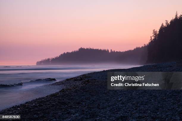 sunset on the west coast trail, canada - pacific rim imagens e fotografias de stock