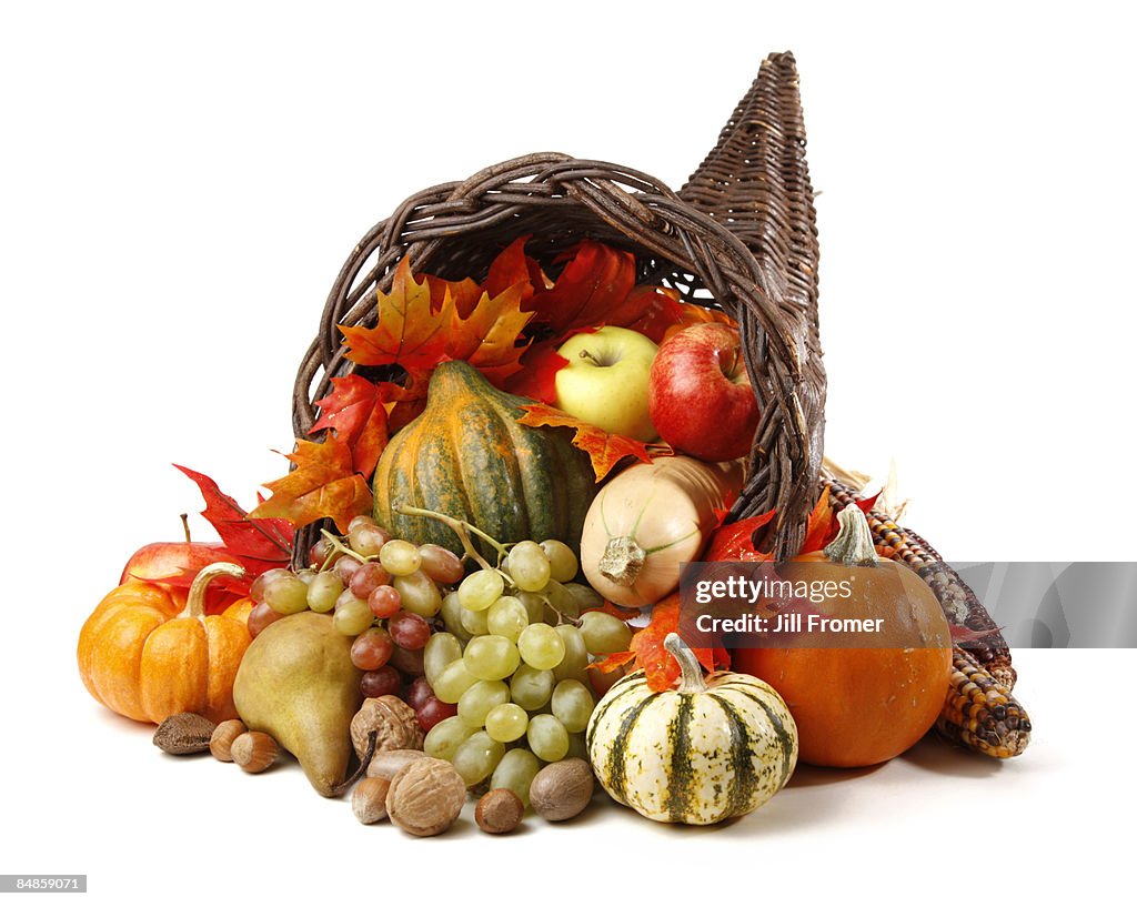 Cornucopia Horn of Plenty Isolated