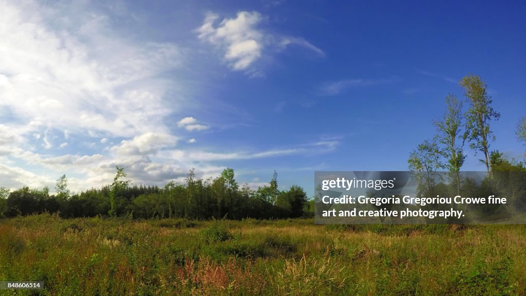 Nature Landscape