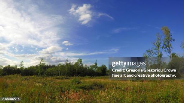 nature landscape - gregoria gregoriou crowe fine art and creative photography - fotografias e filmes do acervo