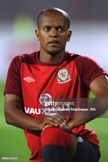 Robbie Earnshaw, Wales