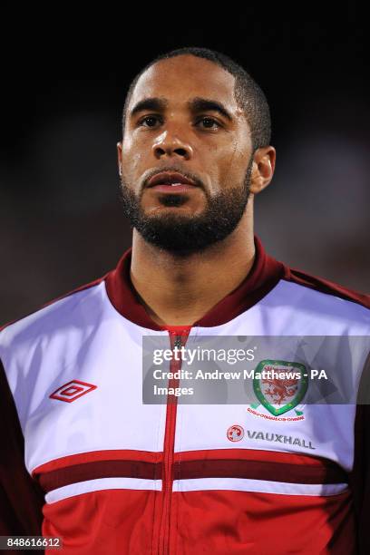 Ashley Williams, Wales