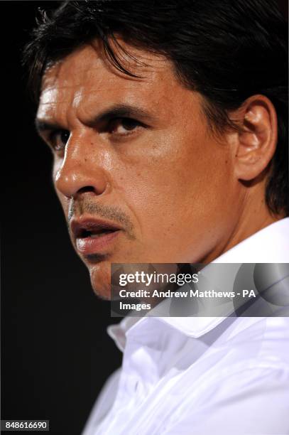 Wales manager Chris Coleman