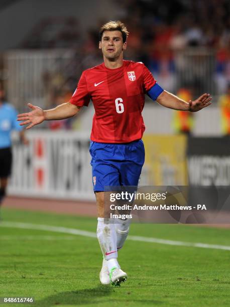 Branislav Ivanovic, Serbia