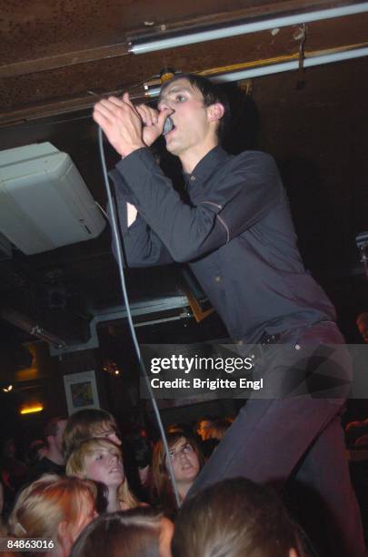 White Roses Band 81 White Rose Movement London Stock Photos, High-Res Pictures, and ...
