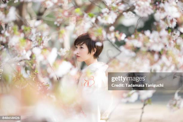 woman with cherry blossom - short trees bildbanksfoton och bilder