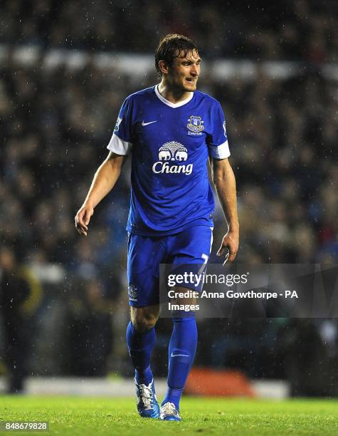 Nikica Jelavic, Everton