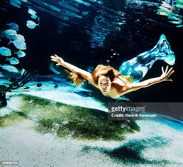 swimming mermaid underwater - copenhagen mermaid stock pictures, royalty-free photos & images