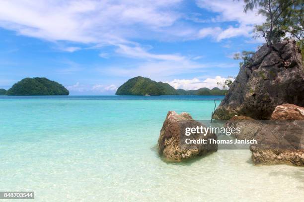 rock islands, palau - palau stock pictures, royalty-free photos & images