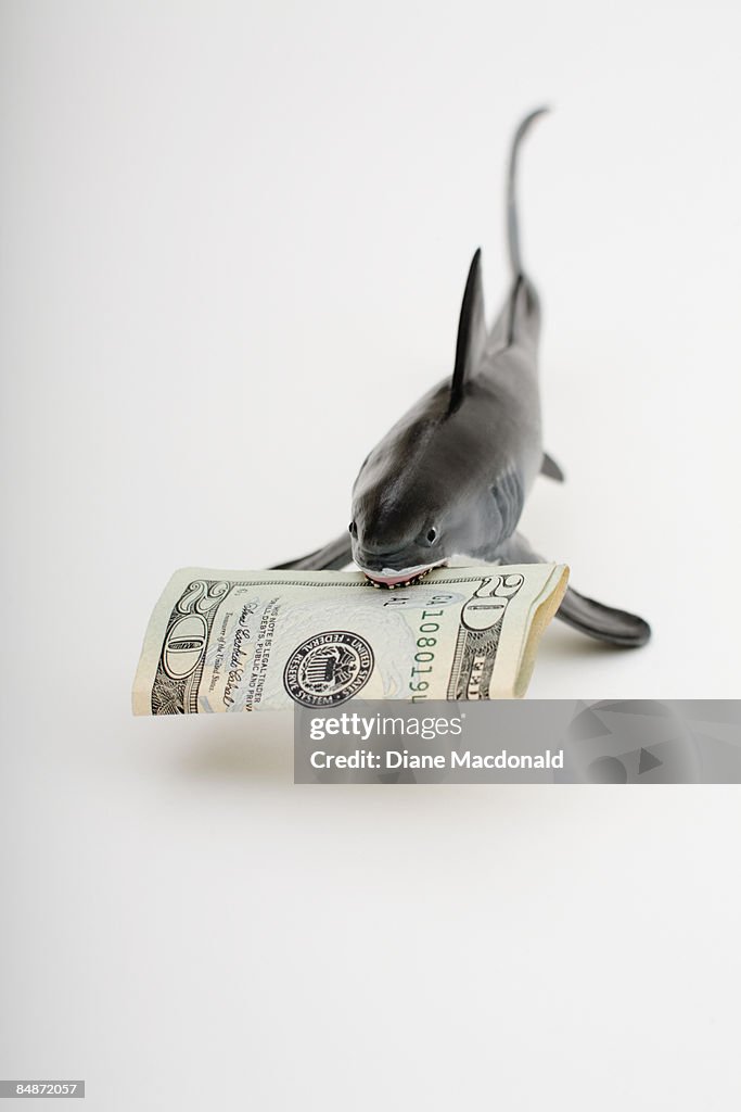 A toy shark holding a twenty dollar US bill 