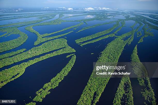 anavilhanas archipelago, brazil - amazonia stockfoto's en -beelden