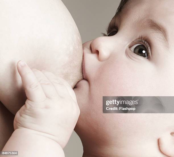 portrait of baby breast feeding - baby studio bildbanksfoton och bilder