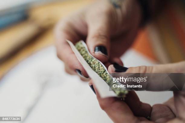 hands of a 40 year old woman rolling a joint, prescribed by a doctor for her chronic illness. - marijuana joint imagens e fotografias de stock