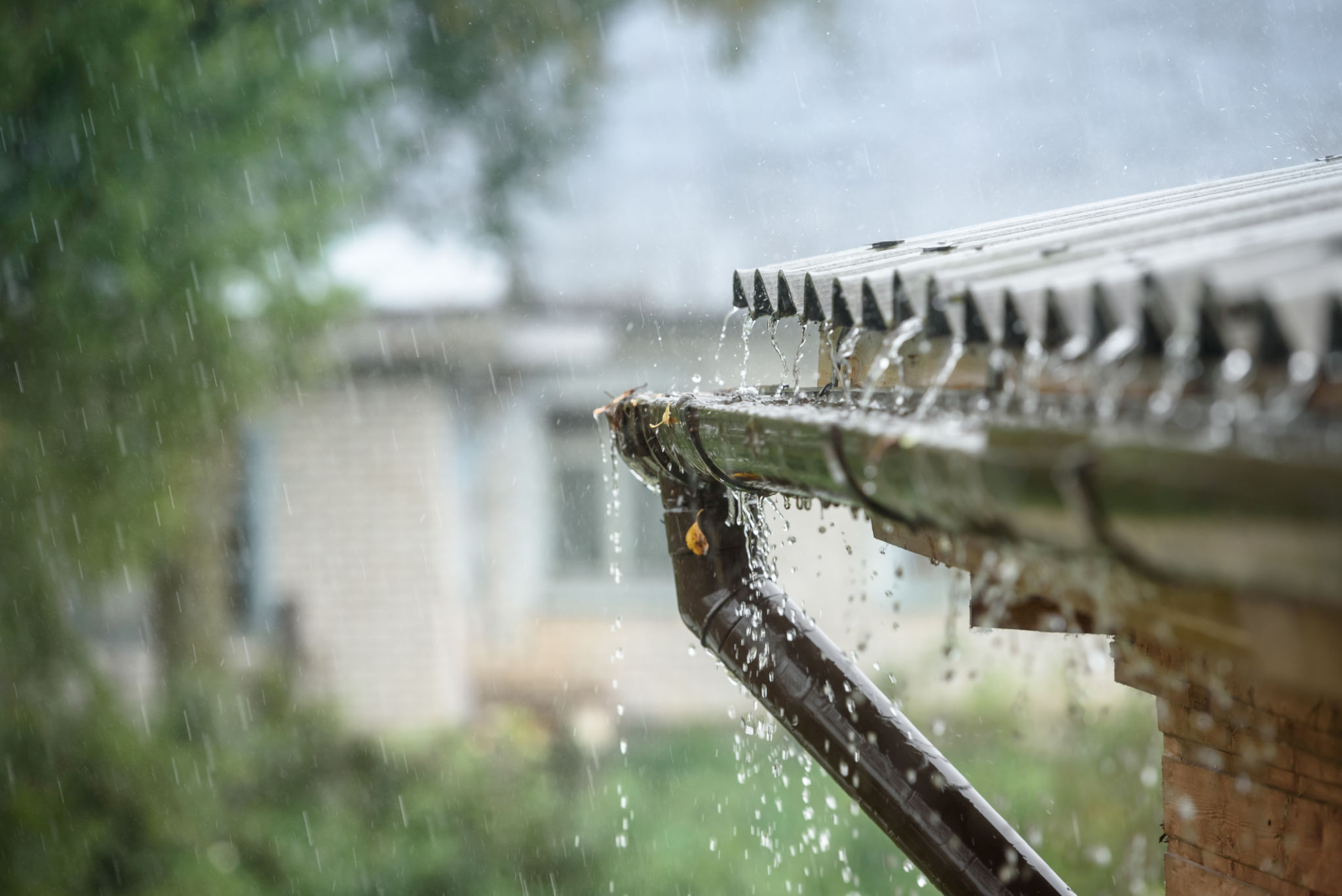 rainwater harvesting