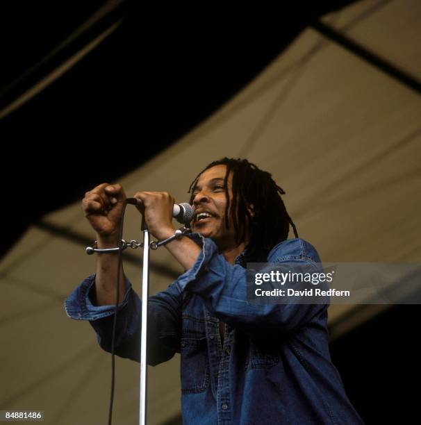 Photo of Majek FASHEK