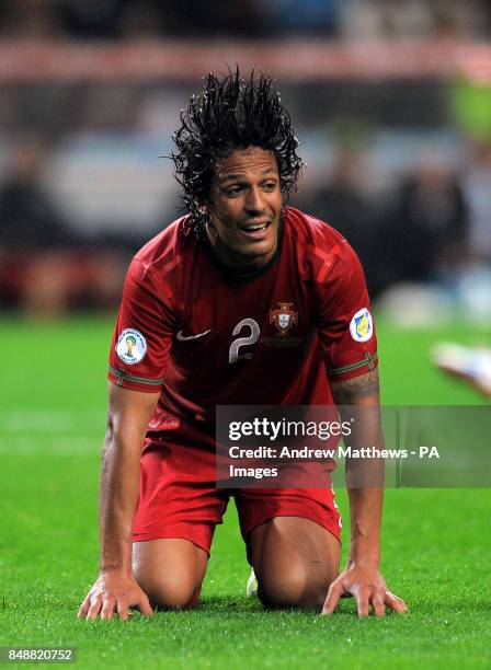 Bruno Alves, Portugal