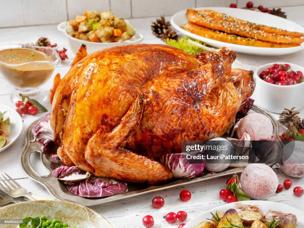 Holiday Turkey Dinner