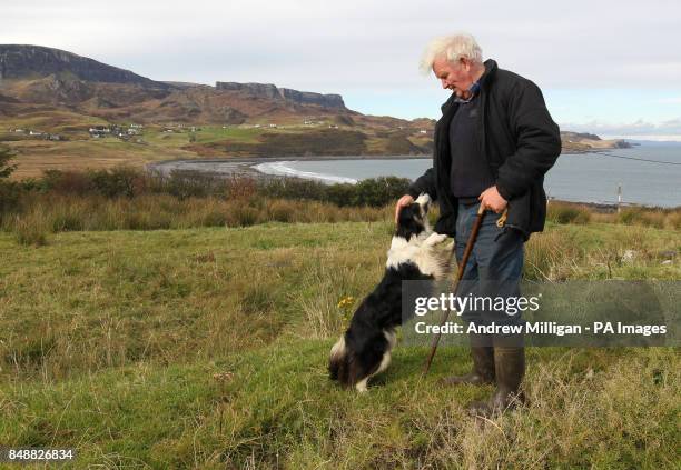 Crofter Iain Macdonald from Staffin on Skye moves his cows across the sea to their Island grazing ground for the winter. Iain is thought to be the...