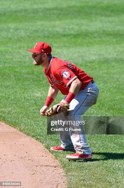 Cliff Pennington of the Los Angeles Angels plays second base against the Baltimore Orioles at Oriole Park at Camden Yards on August 20, 2017 in...
