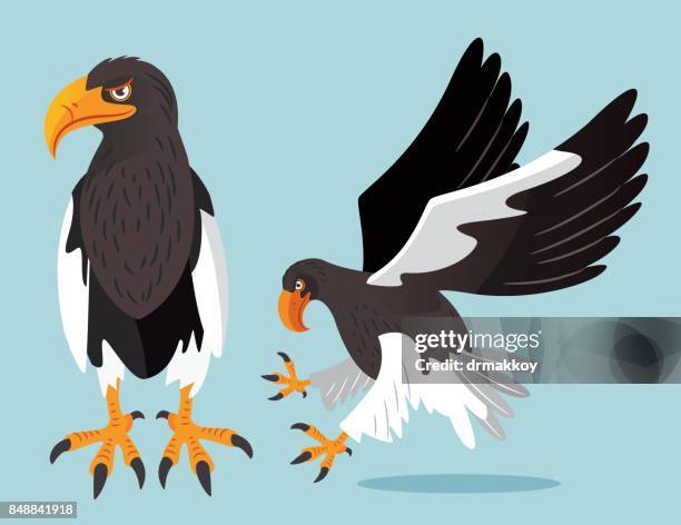 steller's sea eagle - stellers sea eagle stock illustrations