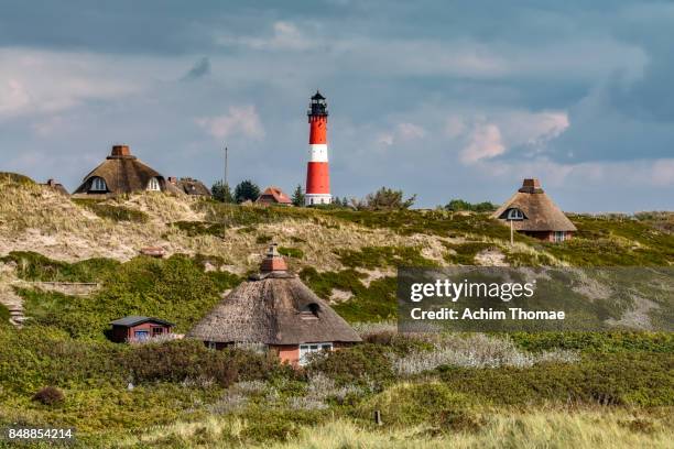 sylt island, hörnum, germany, europe - thatched roof stock-fotos und bilder